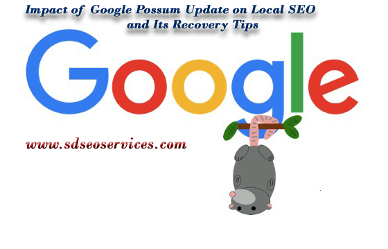 Impact of Google Possum Update on Local SEO