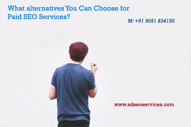 Alternatives-You-Can-Choose-for-Paid-SEO-Services